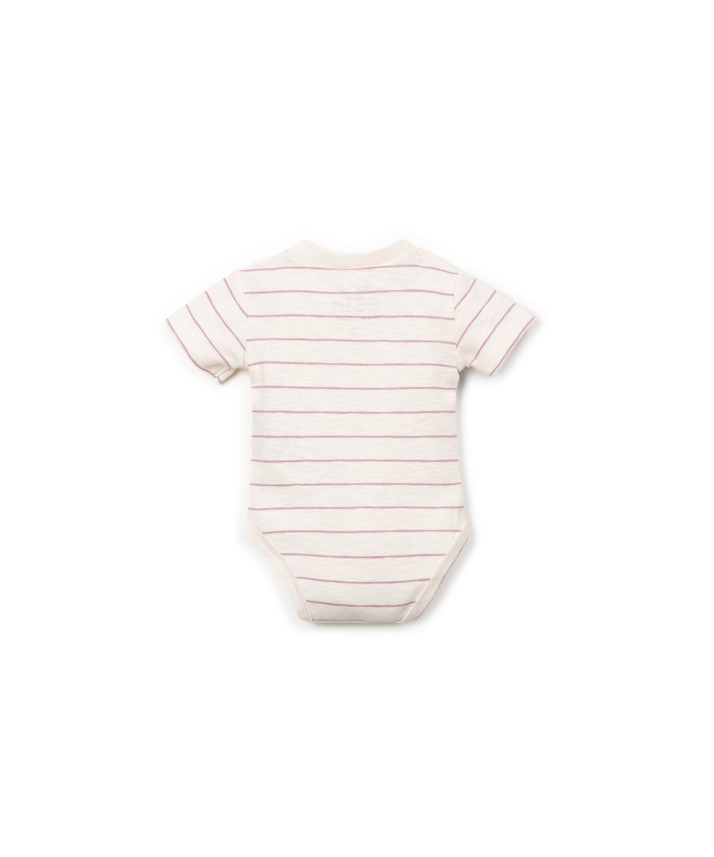 BODY RIB FLAME RAYAS TRASERA