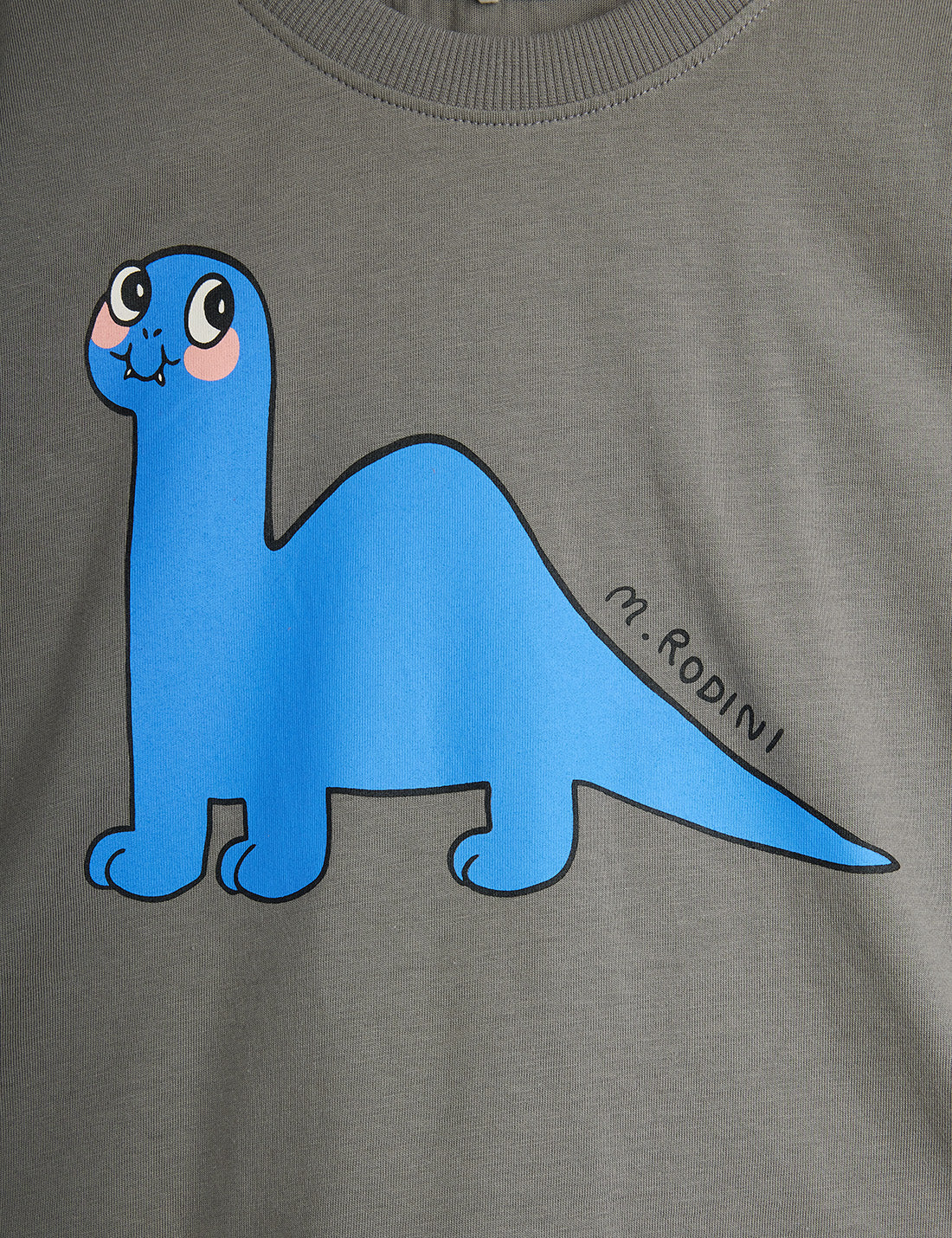Camiseta dino detalle