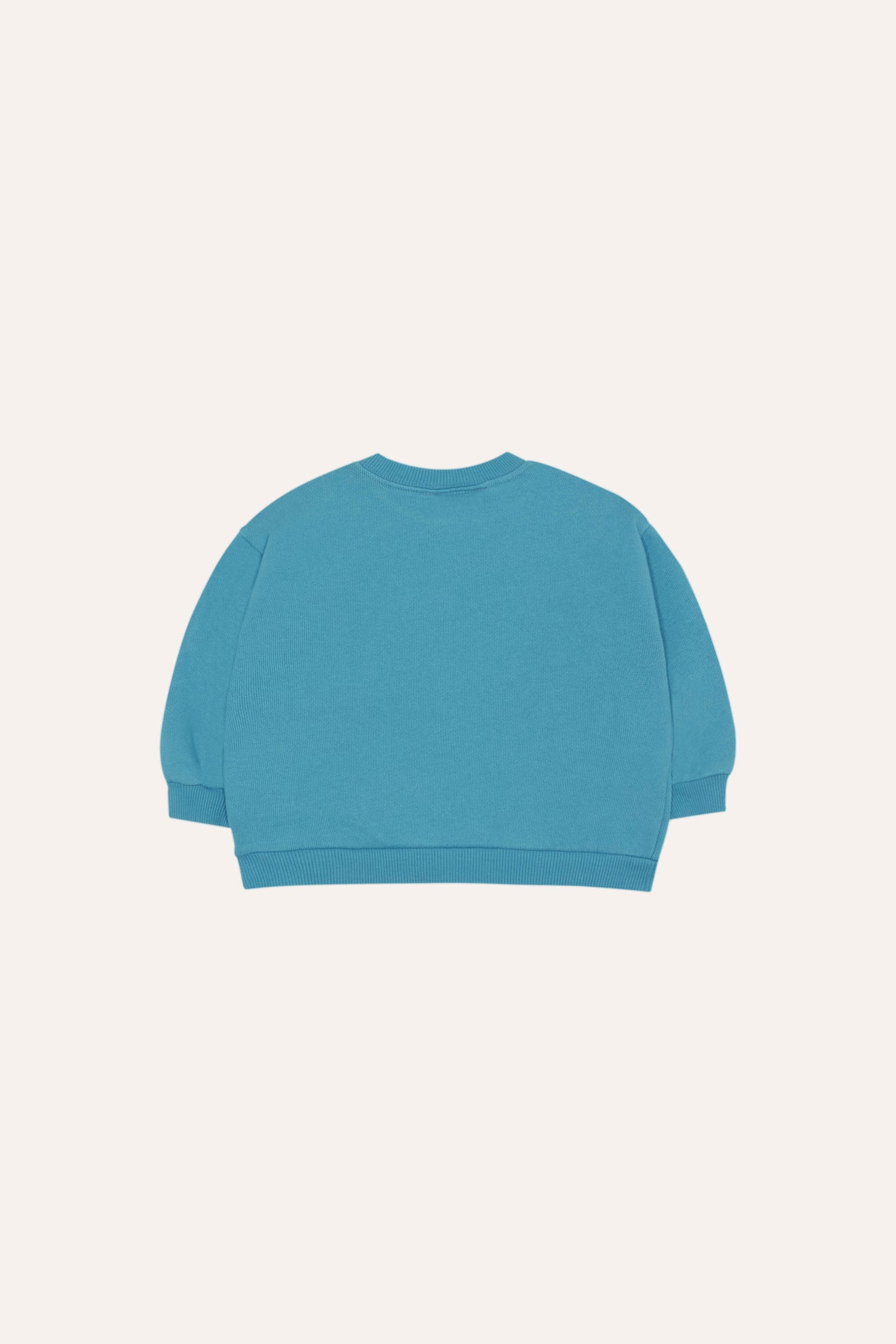 Sudadera azul bebe ladybug trasera