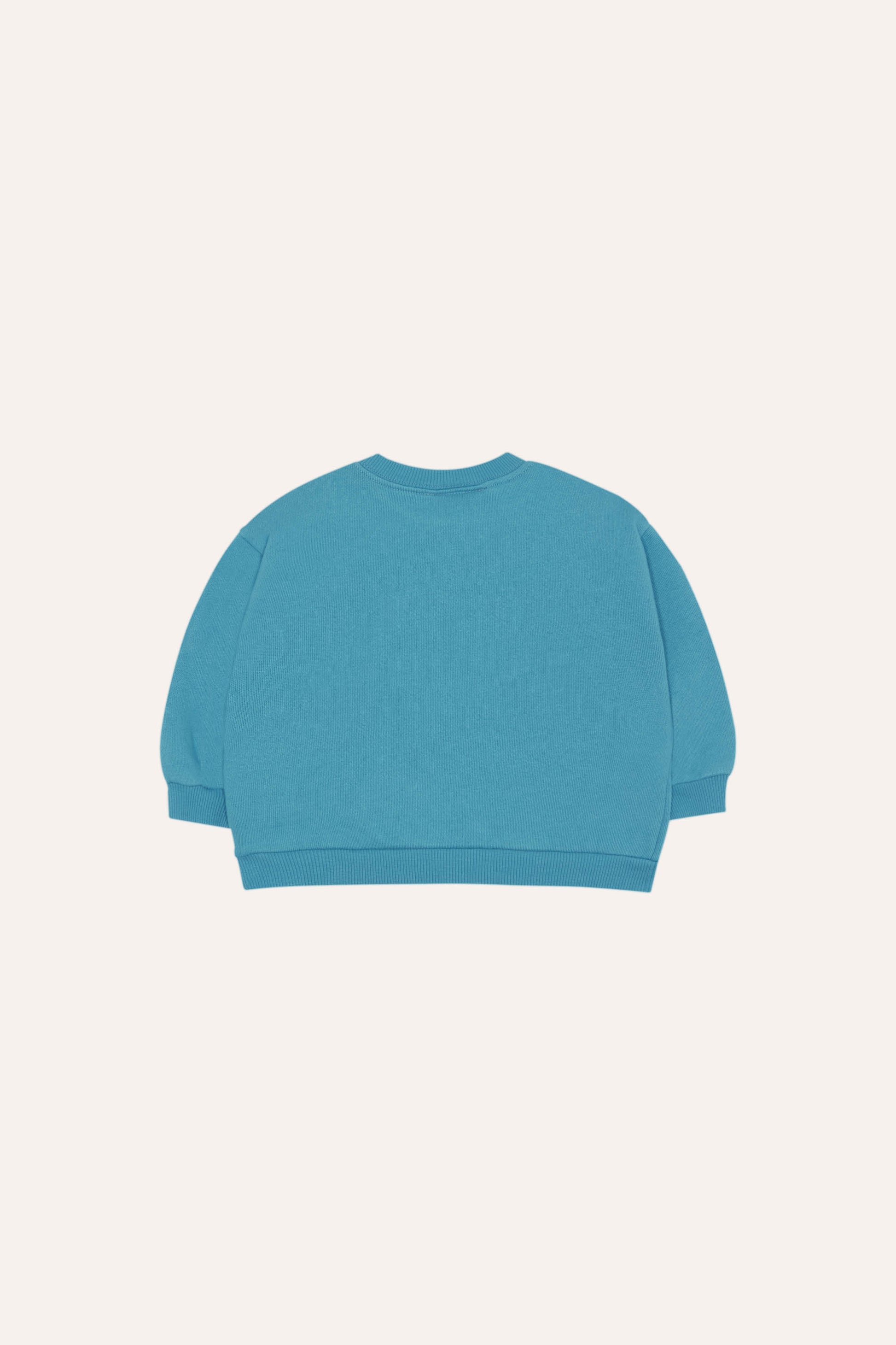Sudadera azul bebe ladybug trasera